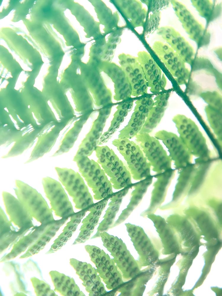 Similar wall art painting: 196180