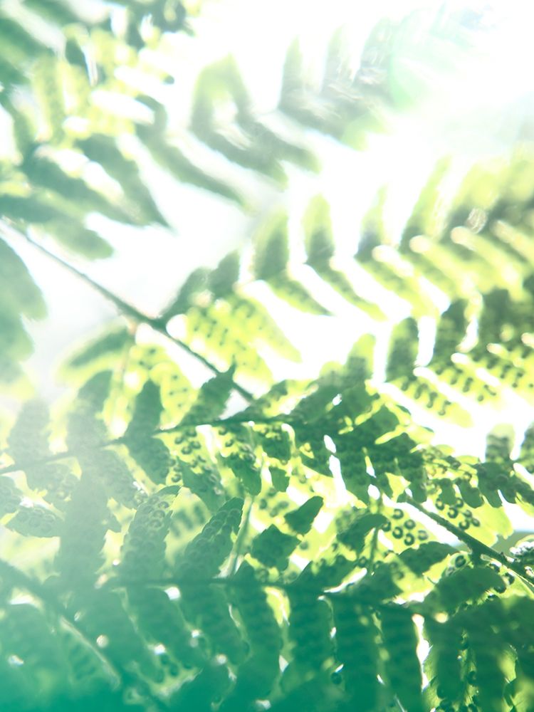 Similar wall art painting: 196182