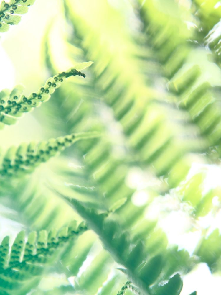 Similar wall art painting: 196183