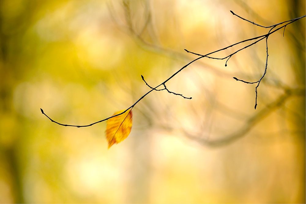 Similar wall art painting: 196511