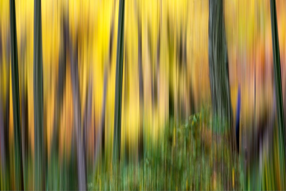 Similar wall art painting: 196512