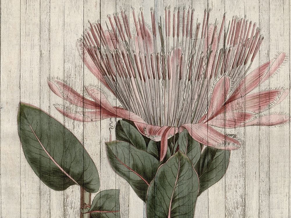 Similar wall art painting: 196951