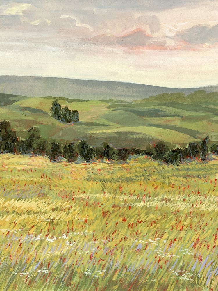 Wall Art Painting id:197244, Name: Morning Meadow I, Artist: Borges, Victoria