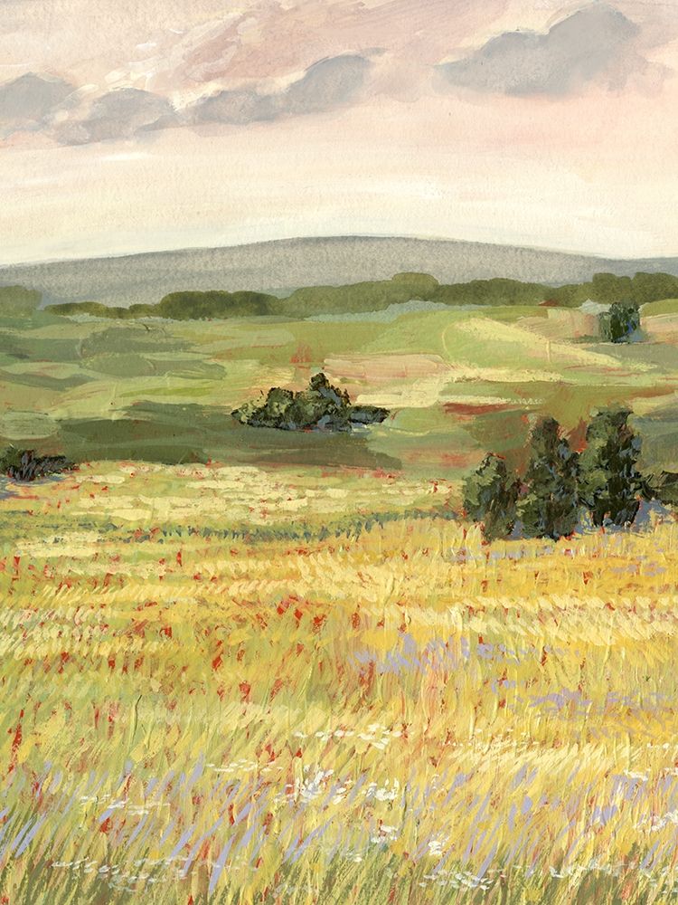 Wall Art Painting id:197245, Name: Morning Meadow II, Artist: Borges, Victoria