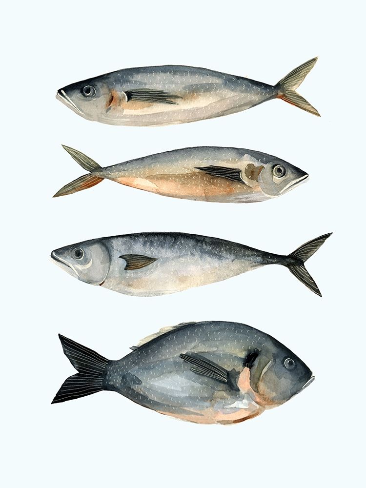 Wall Art Painting id:197246, Name: Four Fish I, Artist: Scarvey, Emma