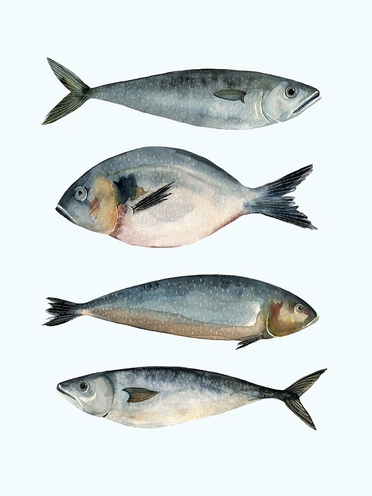 Wall Art Painting id:197247, Name: Four Fish II, Artist: Scarvey, Emma