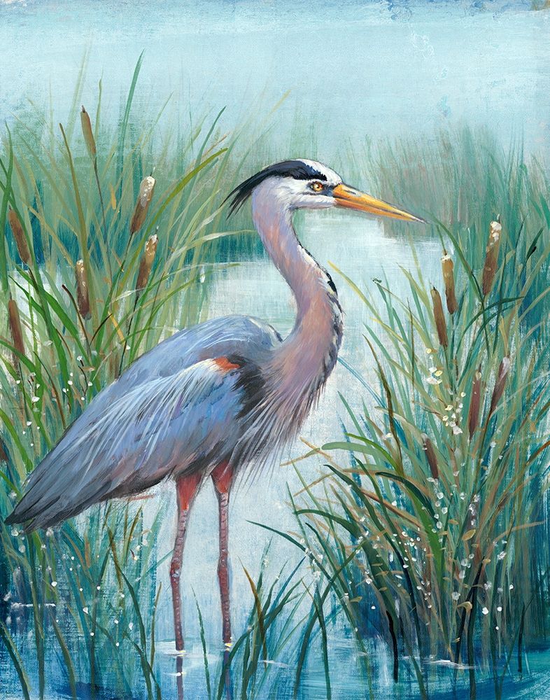 Wall Art Painting id:197281, Name: Marsh Heron I, Artist: OToole, Tim