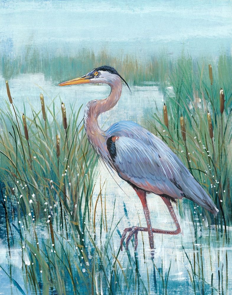 Wall Art Painting id:197282, Name: Marsh Heron II, Artist: OToole, Tim