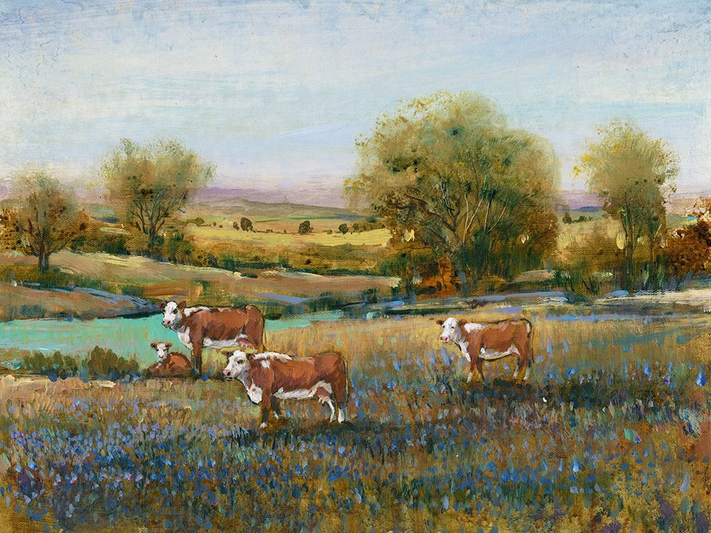 Wall Art Painting id:197284, Name: Field of Cattle II, Artist: OToole, Tim