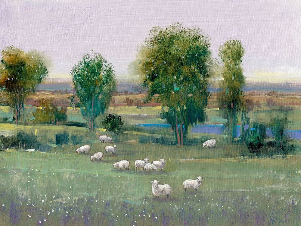 Wall Art Painting id:197285, Name: Field of Sheep I, Artist: OToole, Tim