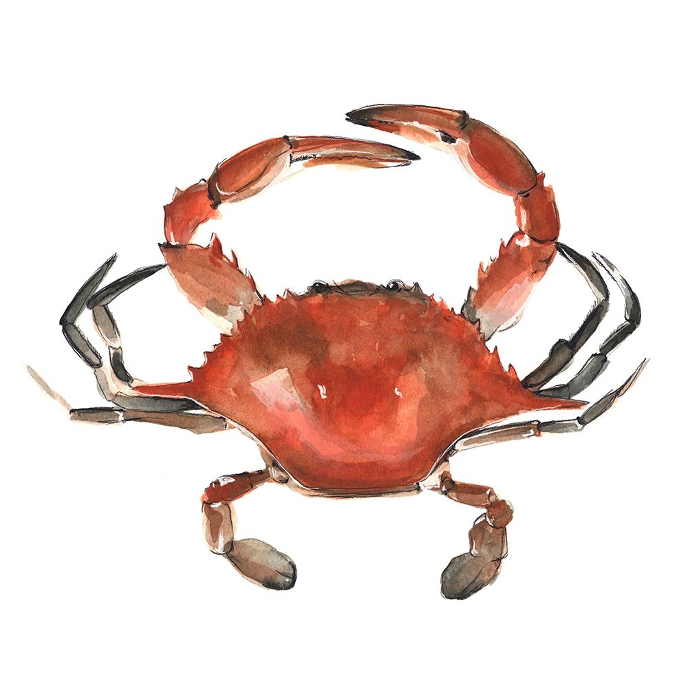 Wall Art Painting id:209239, Name: Watercolor Crab I, Artist: Scarvey, Emma