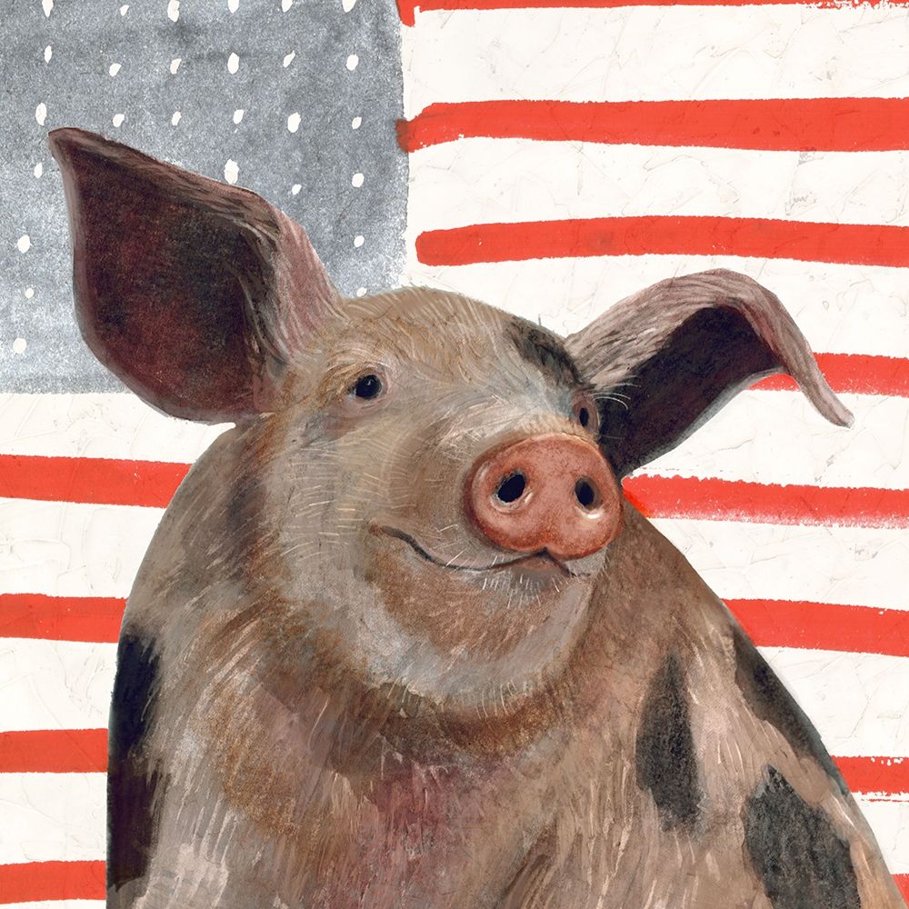 Wall Art Painting id:226521, Name: Patriotic Farm IV, Artist: Borges, Victoria