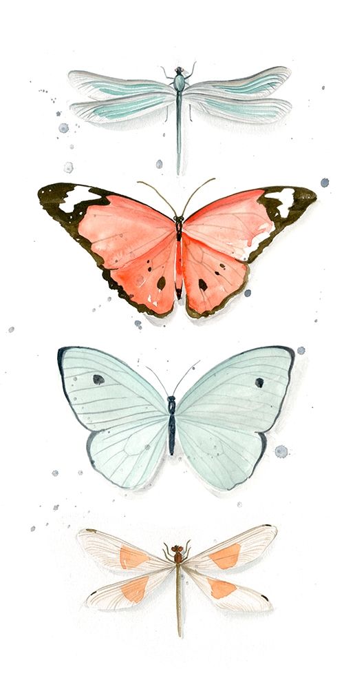 Wall Art Painting id:209928, Name: Summer Butterflies I, Artist: Parker, Jennifer Paxton