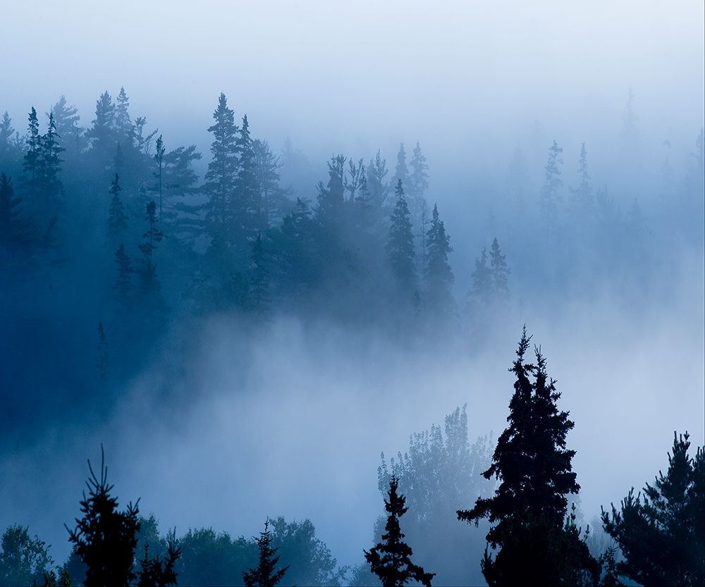 Similar wall art painting: 210046