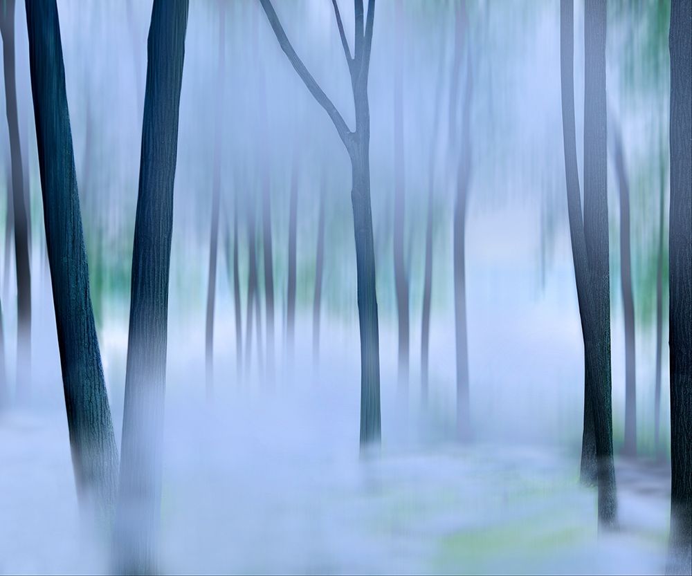 Similar wall art painting: 210047