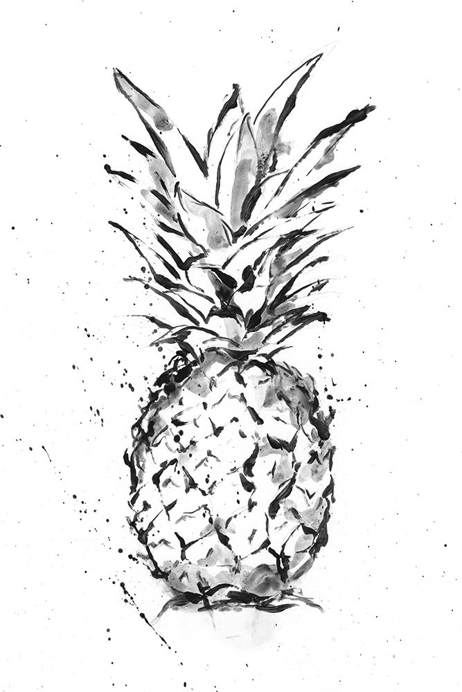 Wall Art Painting id:228163, Name: Pineapple Ink Study I, Artist: Harper, Ethan
