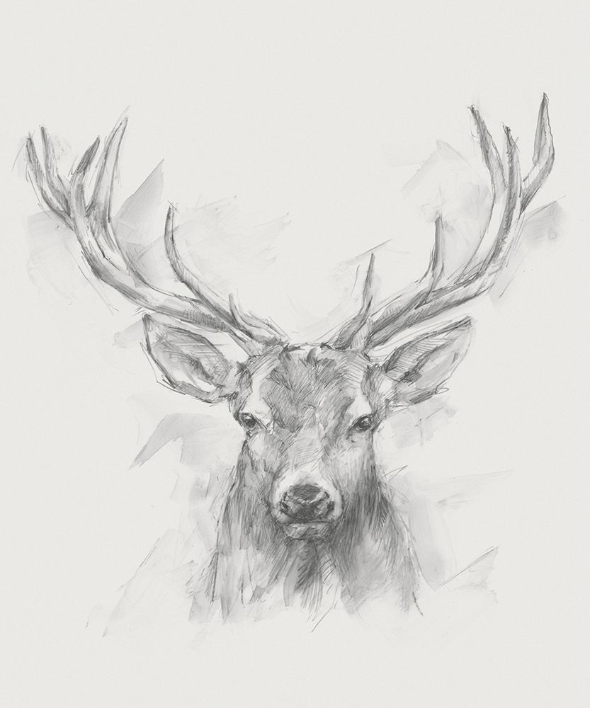 Wall Art Painting id:210316, Name: Contemporary Elk Sketch I, Artist: Harper, Ethan