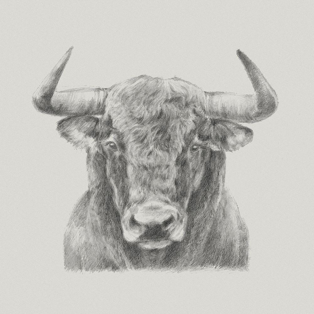 Wall Art Painting id:210399, Name: Black and White Bull, Artist: Harper, Ethan