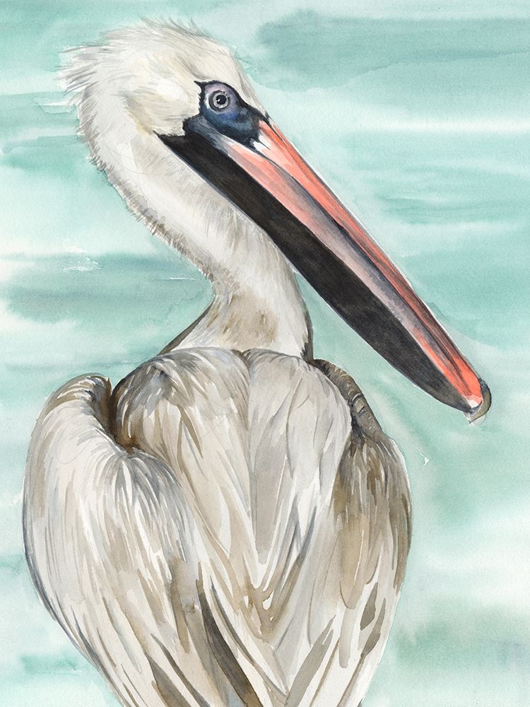 Wall Art Painting id:214831, Name: Turquoise Pelican I, Artist: Parker, Jennifer Paxton