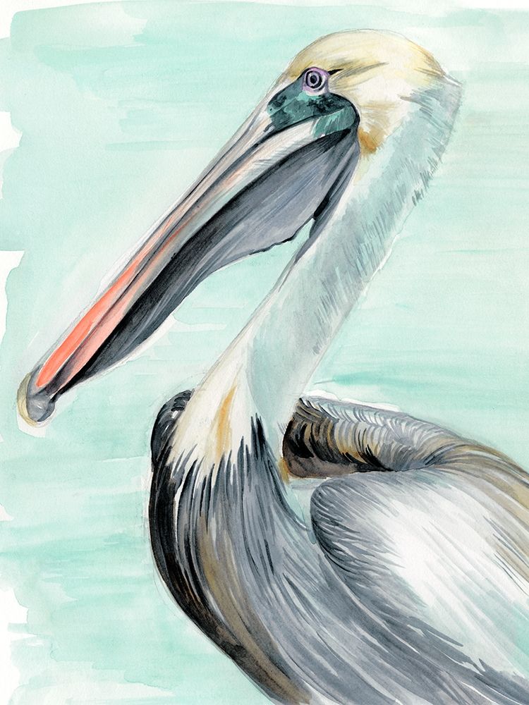 Wall Art Painting id:214832, Name: Turquoise Pelican II, Artist: Parker, Jennifer Paxton