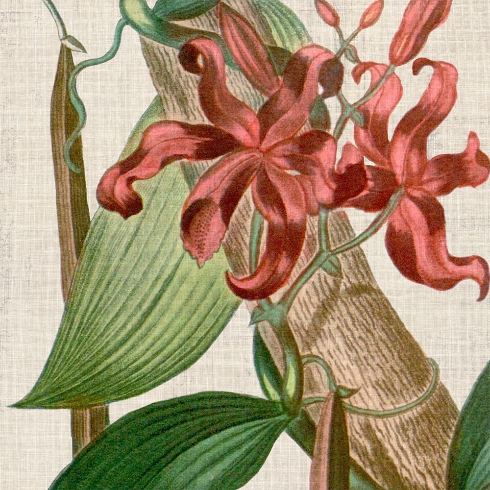 Wall Art Painting id:217274, Name: Cropped Turpin Tropicals IX, Artist: Vision Studio