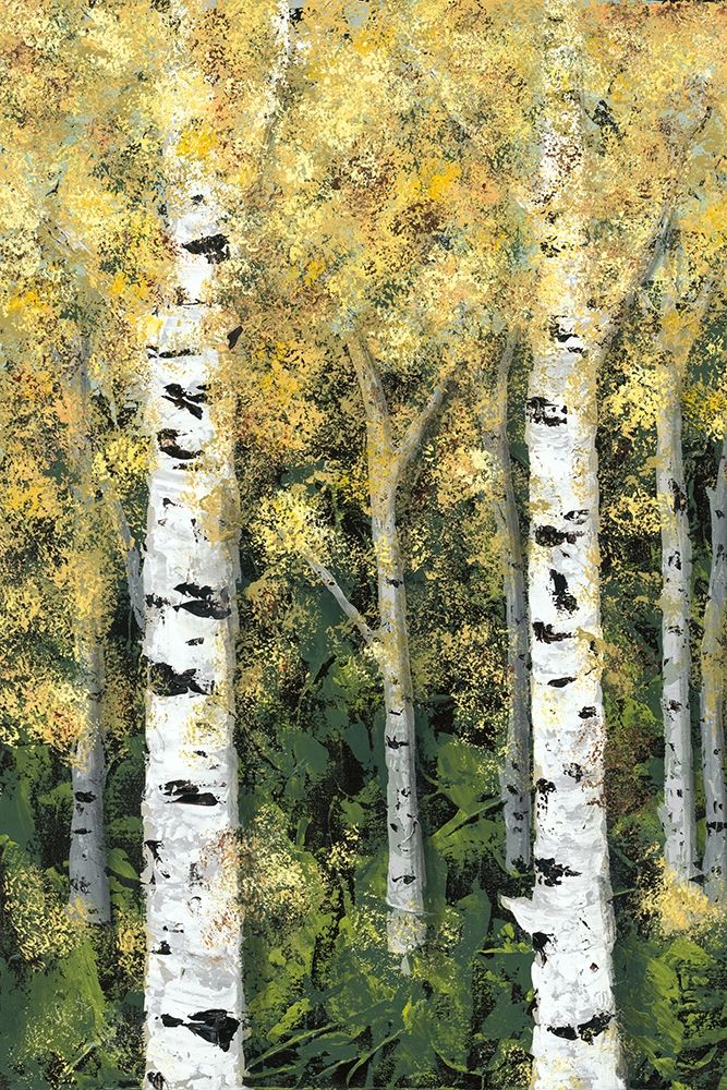 Wall Art Painting id:215360, Name: Birch Treeline I, Artist: Reynolds, Jade