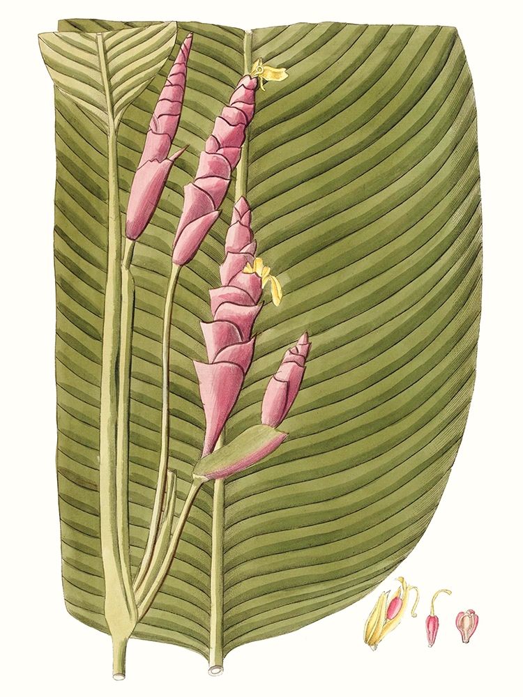 Similar wall art painting: 217279