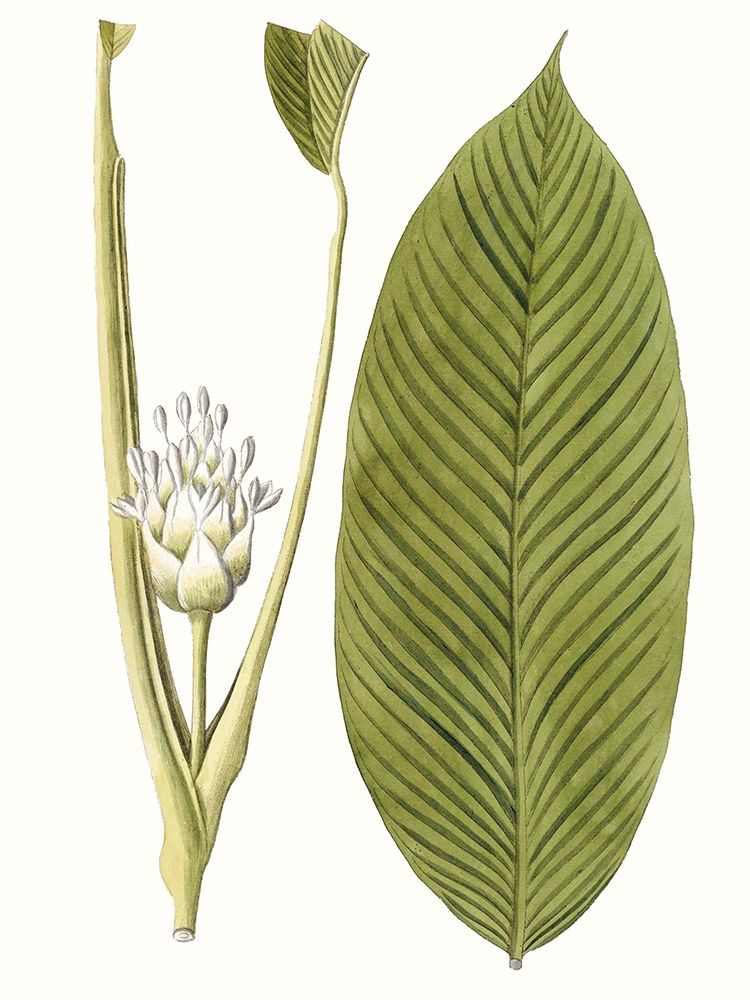 Similar wall art painting: 217280