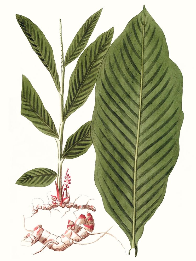 Similar wall art painting: 217282