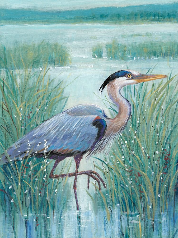 Wall Art Painting id:215383, Name: Wetland Heron I, Artist: OToole, Tim