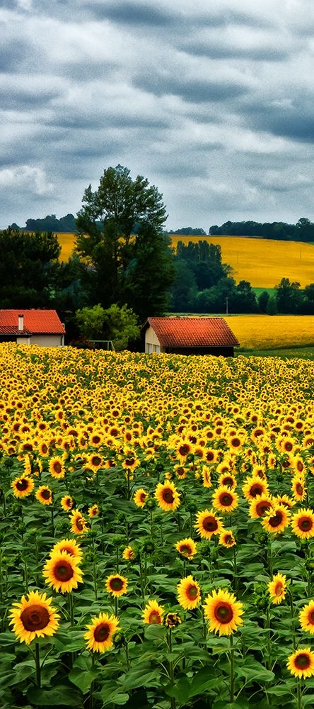 Similar wall art painting: 363623