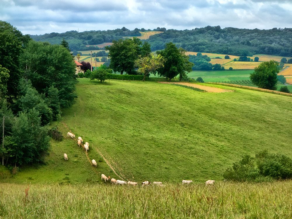 Similar wall art painting: 218014