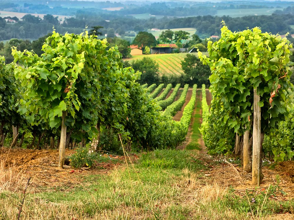 Similar wall art painting: 218028