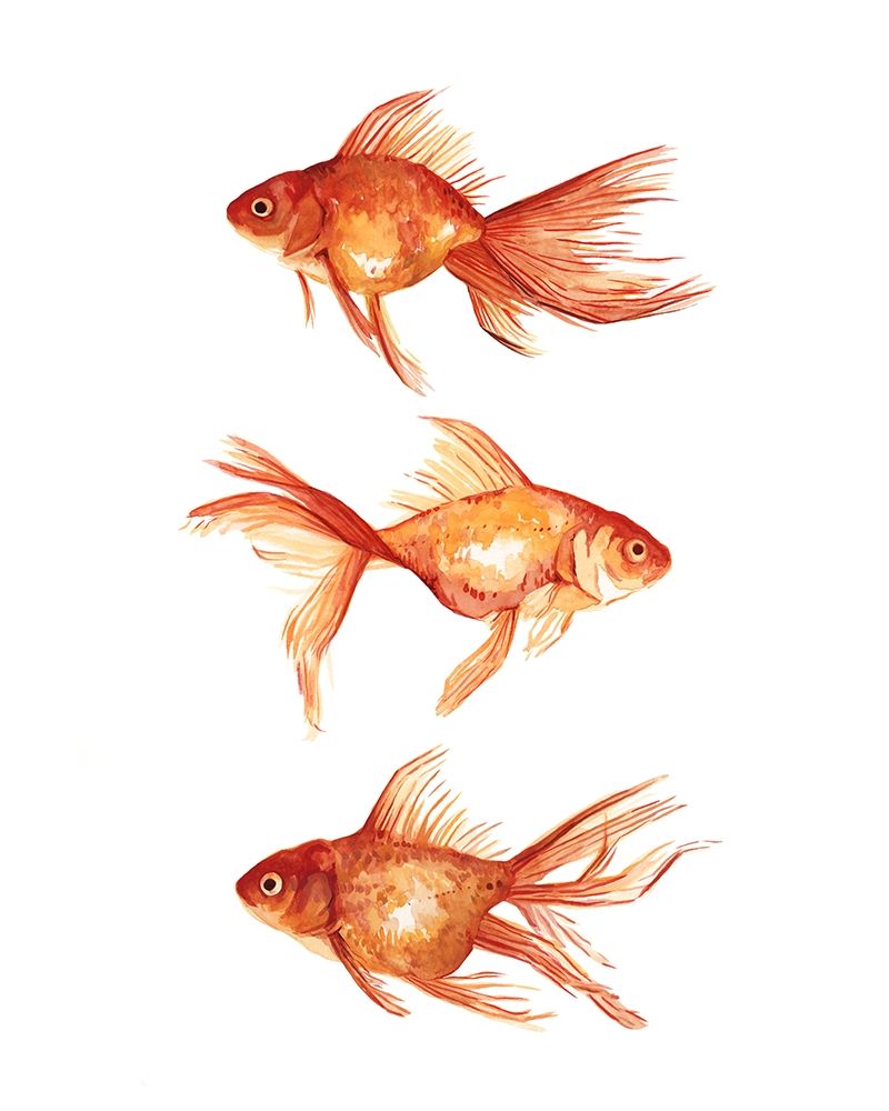 Wall Art Painting id:228446, Name: Ornamental Goldfish III, Artist: Scarvey, Emma