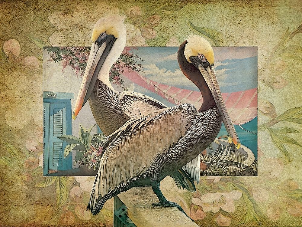 Wall Art Painting id:228601, Name: Pelican Paradise IV, Artist: Hunziker, Steve