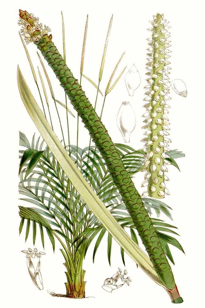 Similar wall art painting: 228761