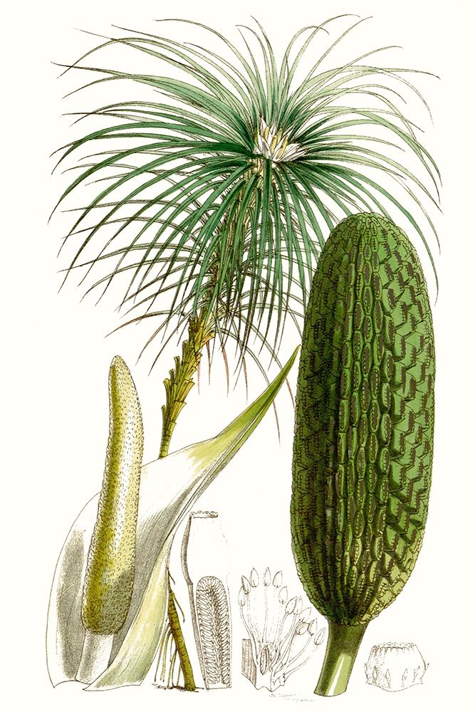 Similar wall art painting: 228762