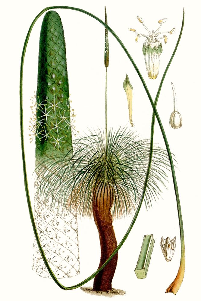 Similar wall art painting: 228763