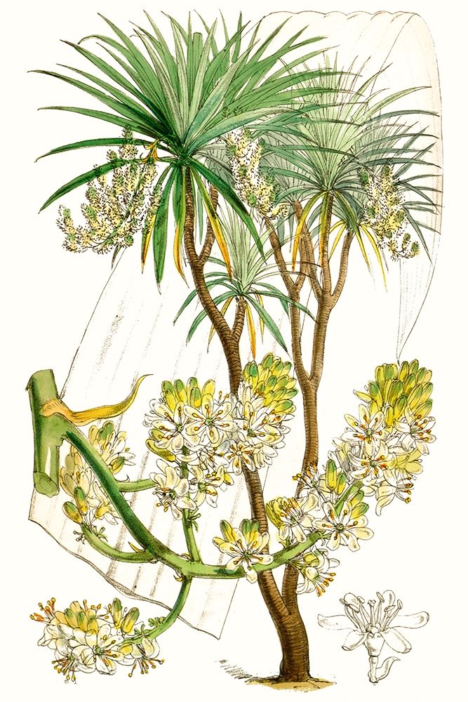 Similar wall art painting: 228764