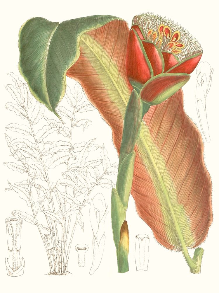 Similar wall art painting: 228786