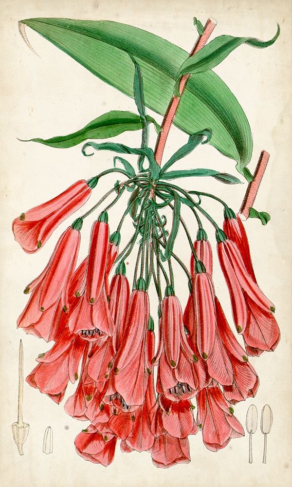 Similar wall art painting: 228056