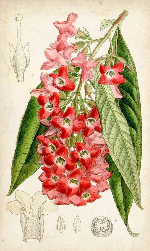 Similar wall art painting: 228058