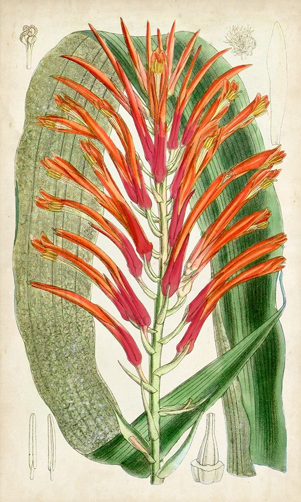 Similar wall art painting: 228060