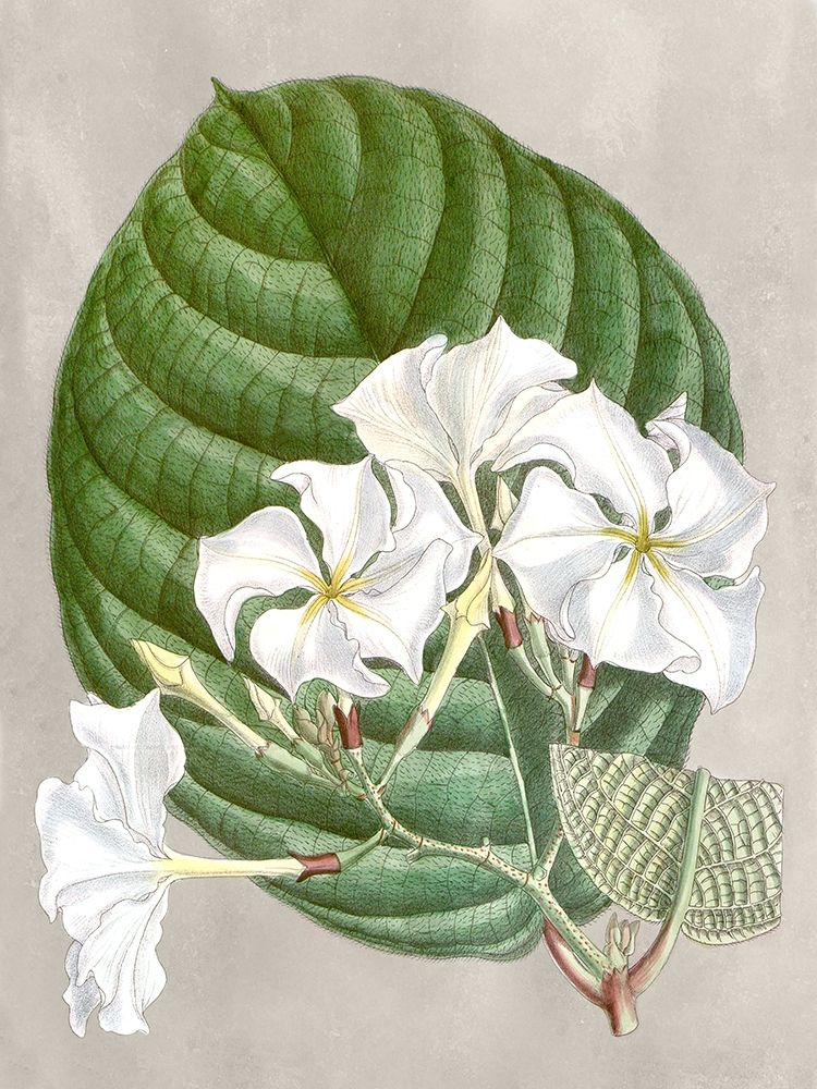 Similar wall art painting: 226264