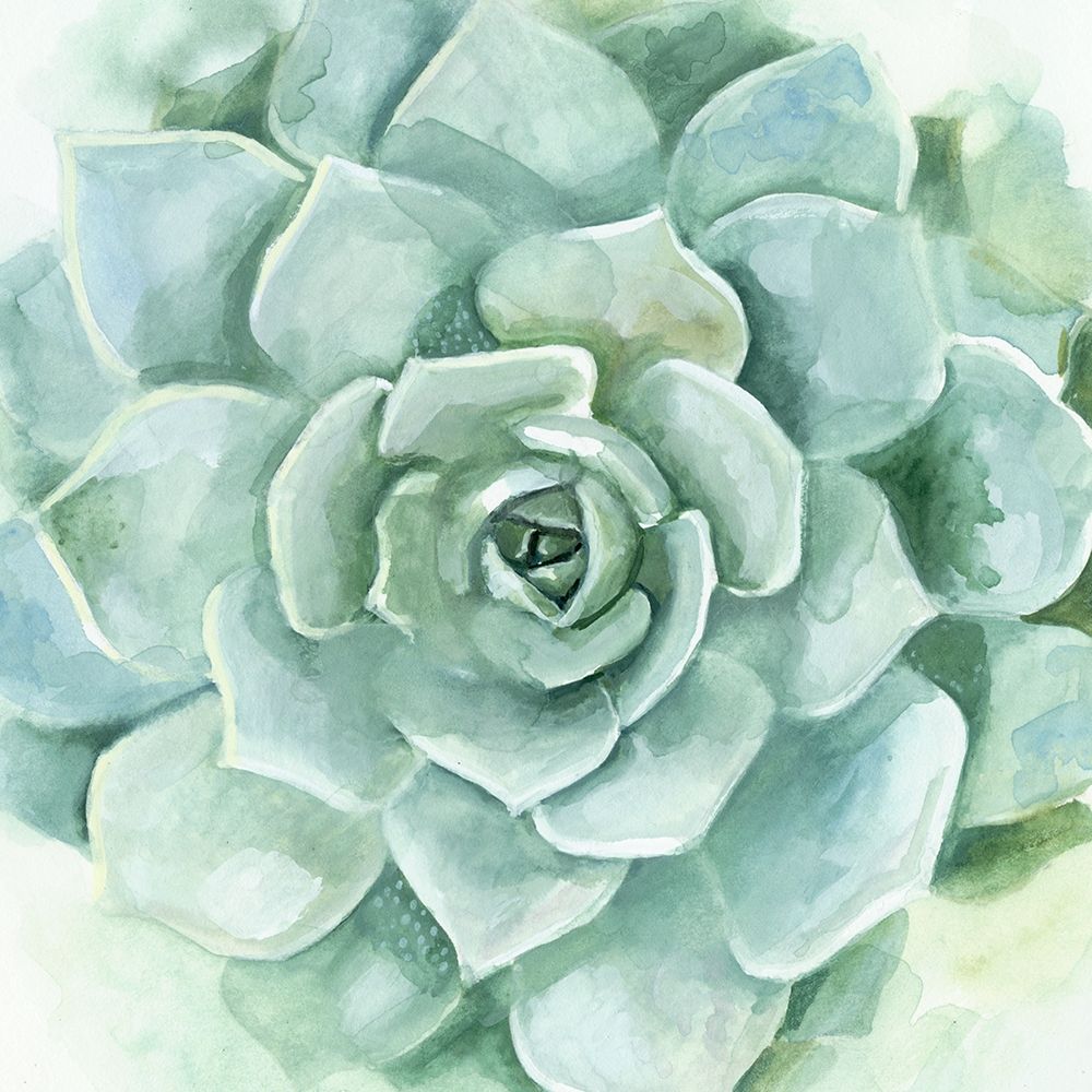 Wall Art Painting id:226271, Name: Verdant Succulent I, Artist: Borges, Victoria