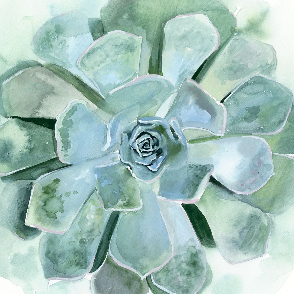 Wall Art Painting id:226273, Name: Verdant Succulent III, Artist: Borges, Victoria