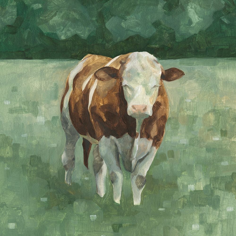 Wall Art Painting id:229127, Name: Hereford Cattle II, Artist: Scarvey, Emma