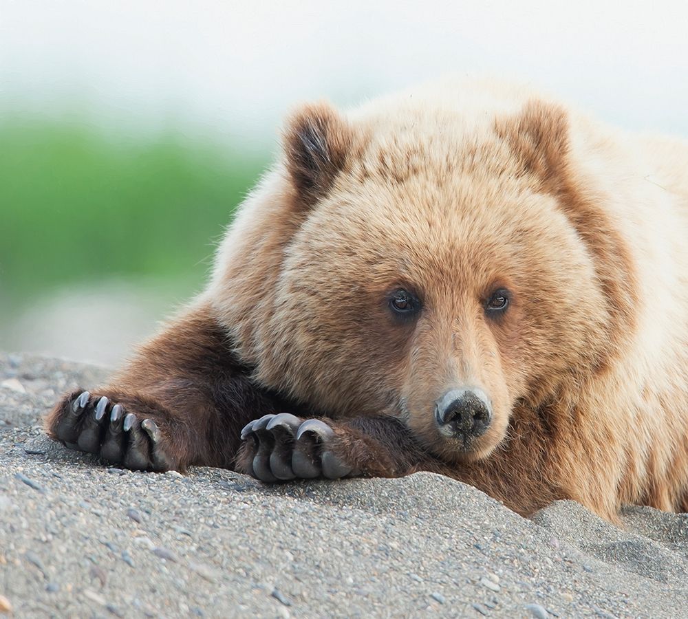 Similar wall art painting: 229336