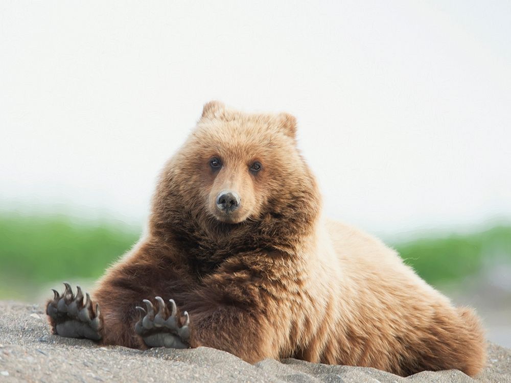 Similar wall art painting: 229338