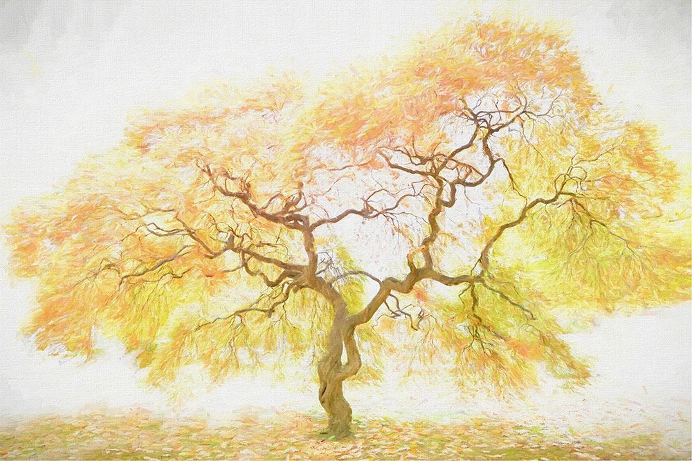 Wall Art Painting id:229409, Name: Golden Tree, Artist: PHBurchett 